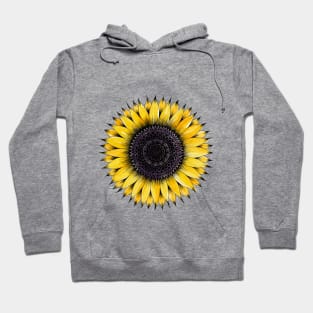 Sunflower Mandala | Watercolor and Ink Hoodie